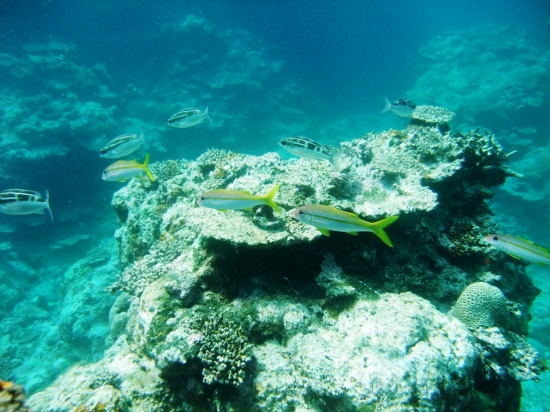 f0205857_21504629.jpg