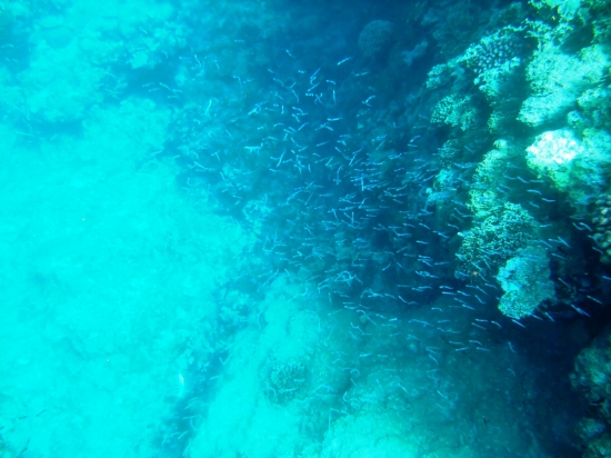 f0205857_22113827.jpg