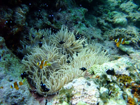 f0205857_2282242.jpg