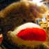 d0029958_21314061.jpg
