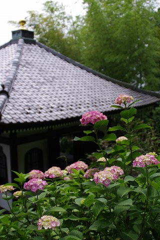e0045768_22243710.jpg