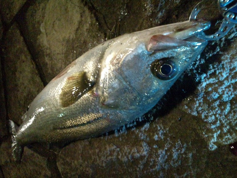 b0165778_2104430.jpg