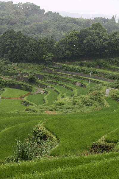 c0152779_425661.jpg