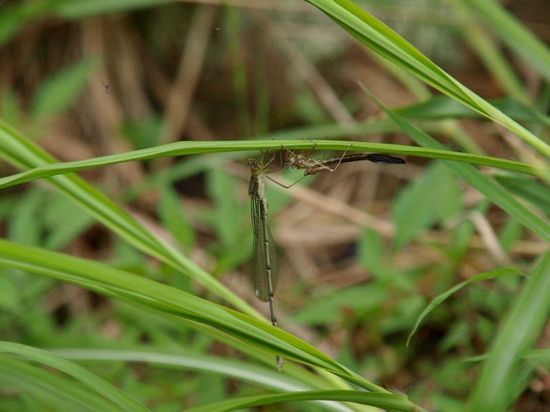 b0108186_23295813.jpg