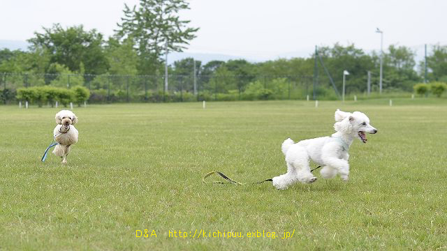 d0202986_20155354.jpg