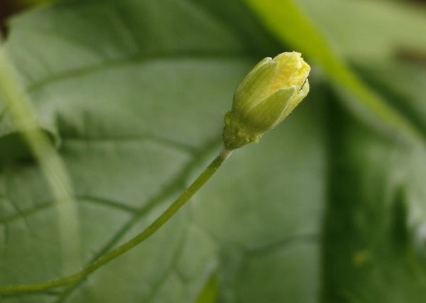 a0058195_1634224.jpg