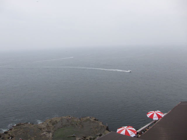 d0098295_0161760.jpg