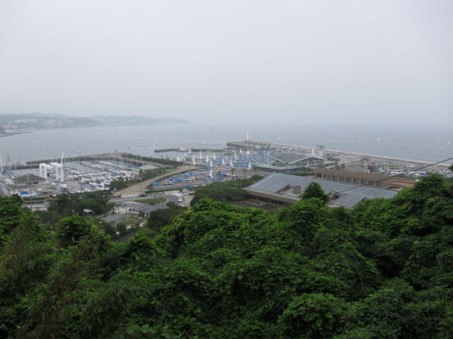 d0098295_0181764.jpg