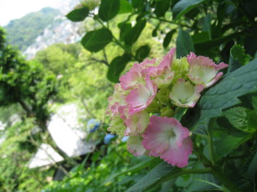 c0172698_21272491.jpg