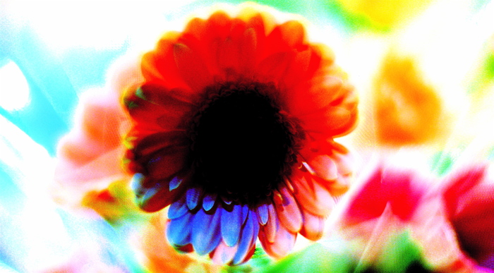 a0157704_15323392.jpg
