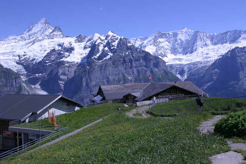 a0188405_21245368.jpg