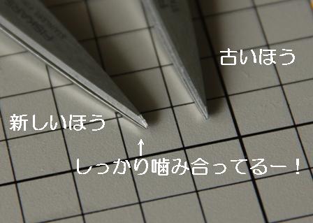 a0153206_2023820.jpg