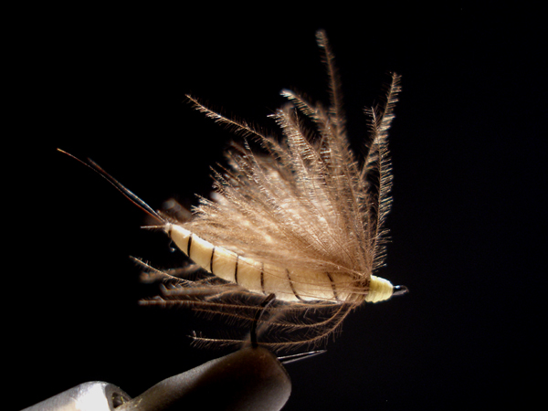 a0176707_10273878.jpg