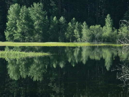 f0173809_327453.jpg