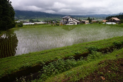 a0156611_2147305.jpg