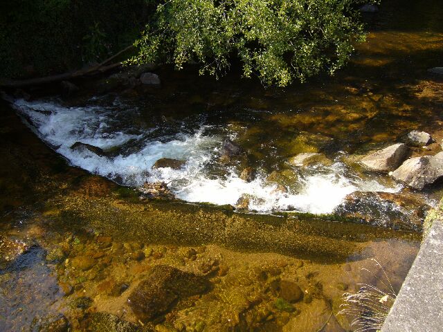 a0207111_5205978.jpg