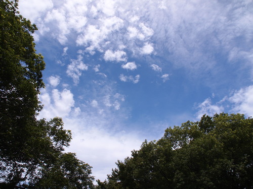 a0213011_11264935.jpg