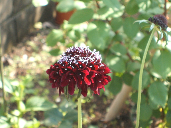 b0208811_17514675.jpg