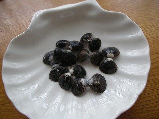 c0141011_1611476.jpg