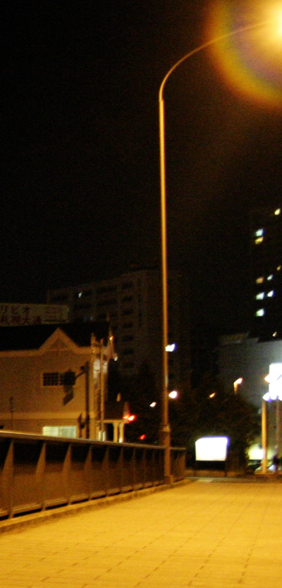 a0139912_2492556.jpg