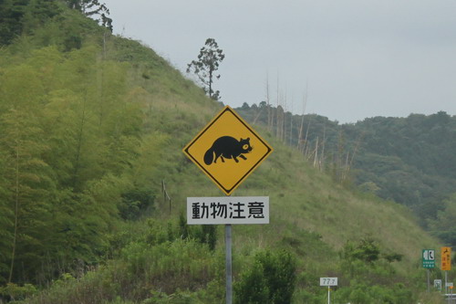 c0101713_11591755.jpg