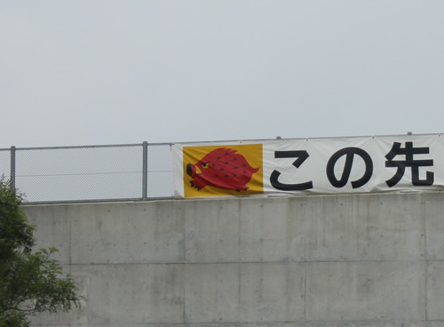 c0101713_11593539.jpg