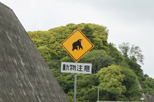 c0101713_1159529.jpg