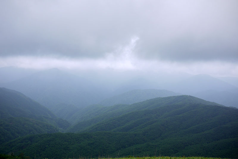 c0064025_21522163.jpg