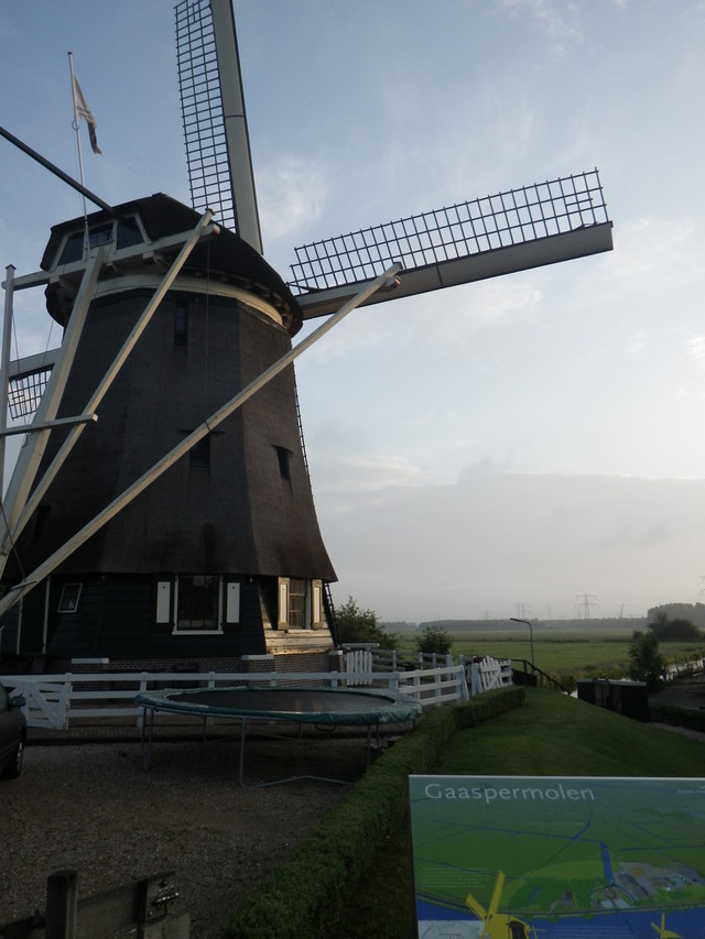 d0133127_16125558.jpg