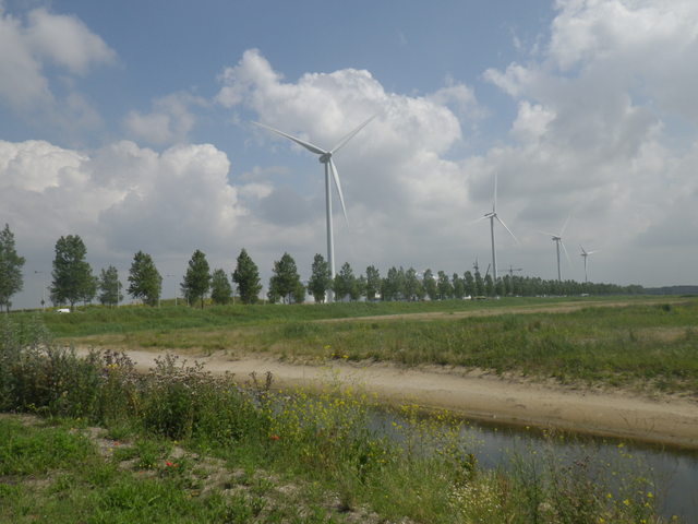 d0133127_16281198.jpg
