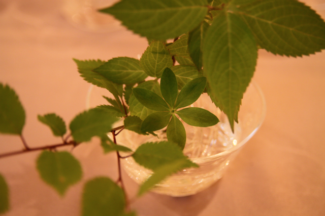 f0045630_8352441.jpg