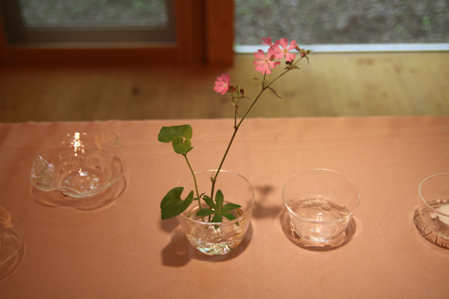 f0045630_8371561.jpg