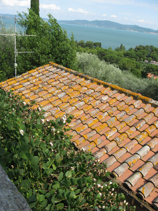 f0234936_437812.jpg