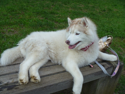 e0121548_2123978.jpg