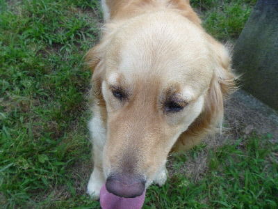 e0121548_2125187.jpg