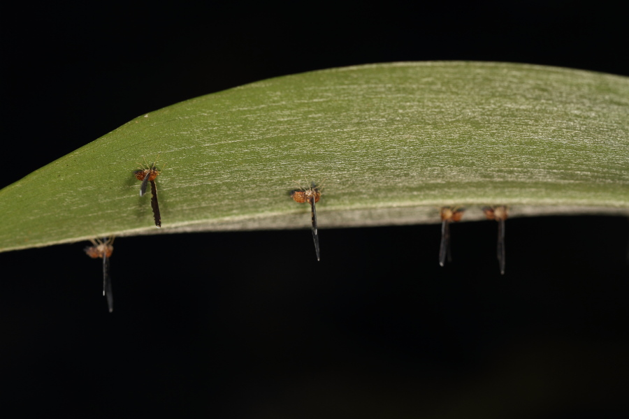 a0094850_10513659.jpg