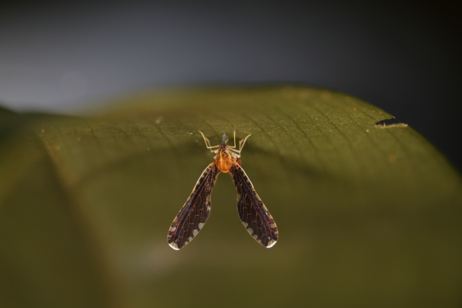 a0094850_10514595.jpg
