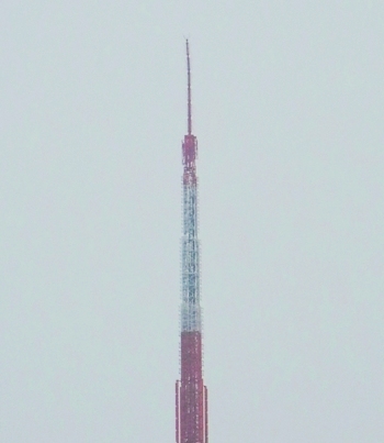 c0019551_1343647.jpg