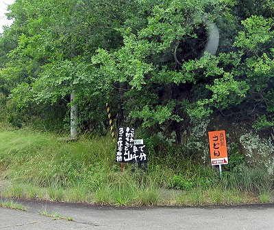 d0031853_34446100.jpg