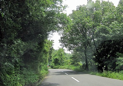 d0031853_3454759.jpg