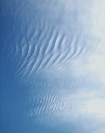 b0173754_15113534.jpg
