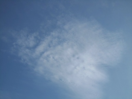 b0173754_1511770.jpg