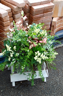 e0025655_4505330.jpg
