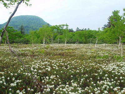 e0004756_2033479.jpg