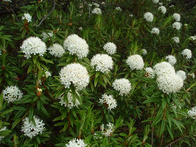 e0004756_20451180.jpg