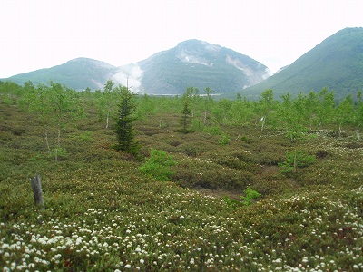 e0004756_21162321.jpg