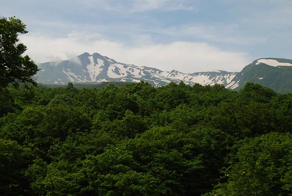 c0043361_011573.jpg