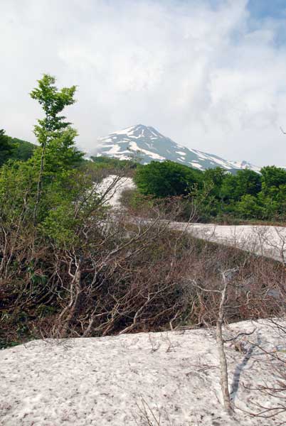 c0043361_0154739.jpg