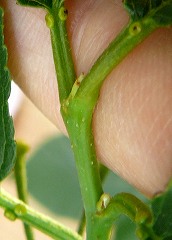 b0169765_13251436.jpg