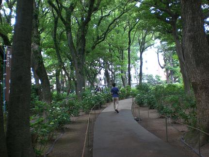 c0222471_1542315.jpg